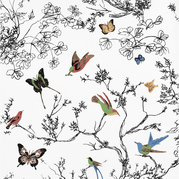 Birds & Butterflies