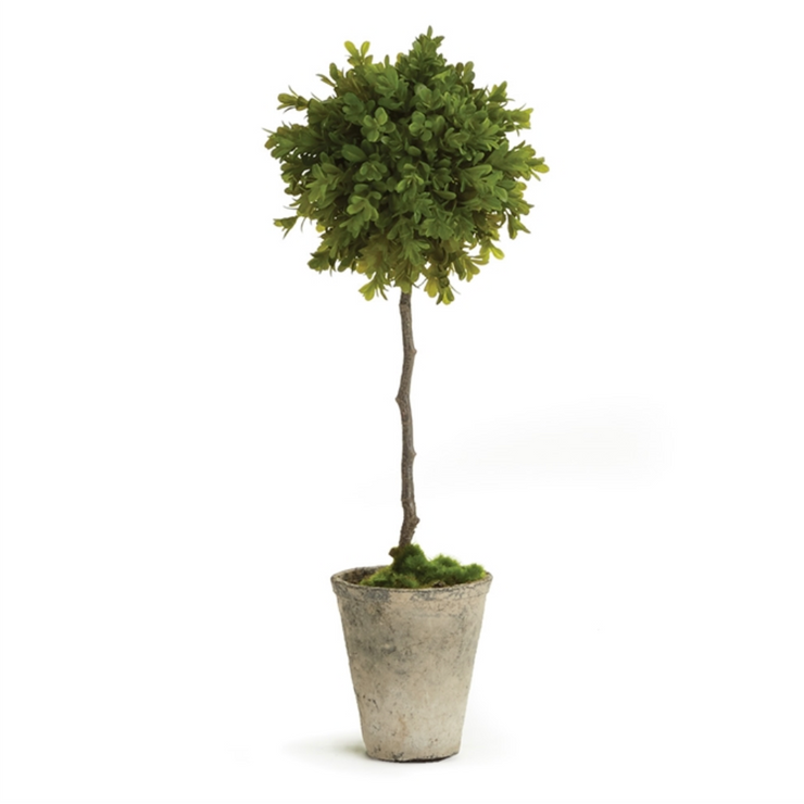 Barclay Butera Boxwood Topiary- 19"