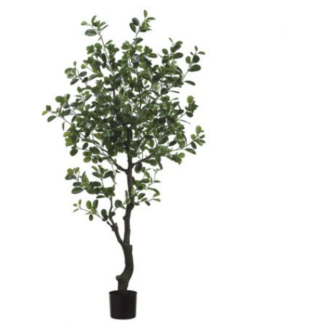 6' Eva Ficus Silk Tree w/Pot