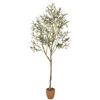 7' Silk Olive Tree w/Cement Pot