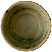 Salvatore Bowl