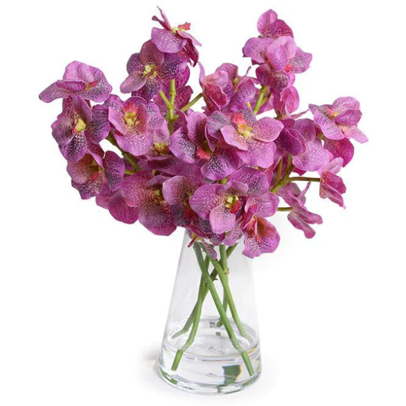 Vanda Orchid Floral Arrangement