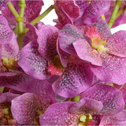 Vanda Orchid Floral Arrangement