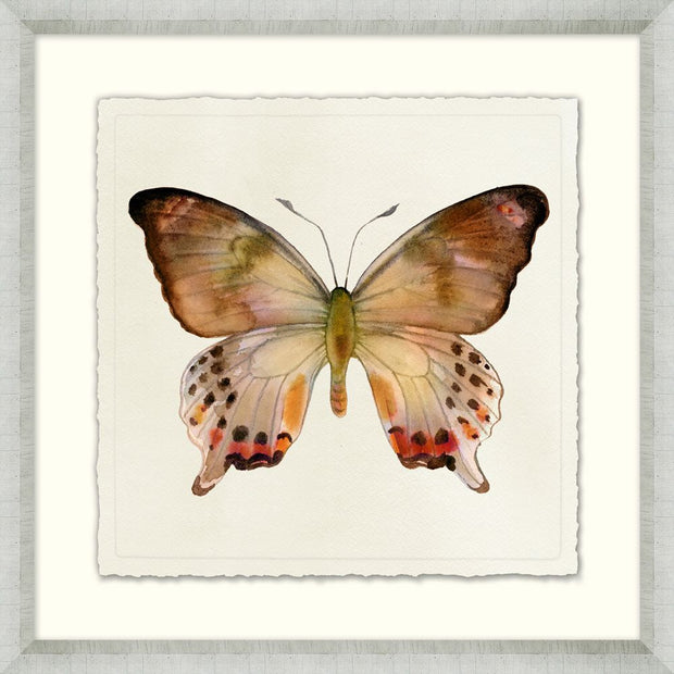 Watercolor Butterfly 3
