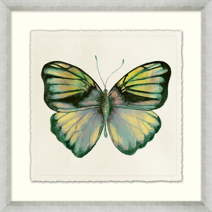 Watercolor Butterfly 4