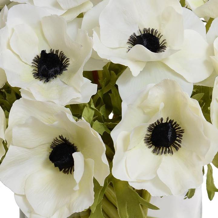 Anemone Arrangement 12