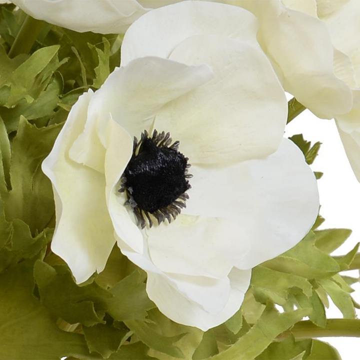 Anemone Arrangement 12
