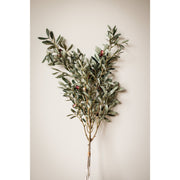 Olive Branches With Olives 43"- Bundle of 2