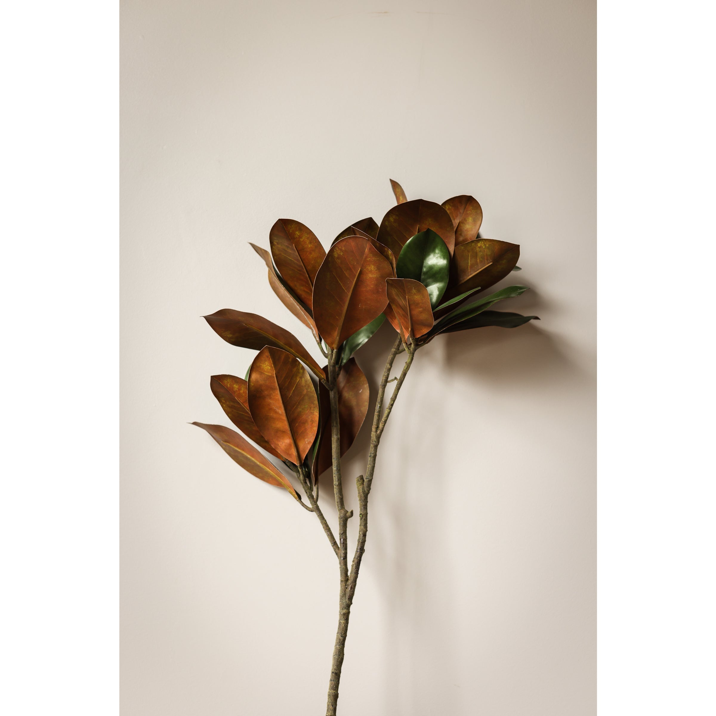 Grand Magnolia Leaf Stem 42.5