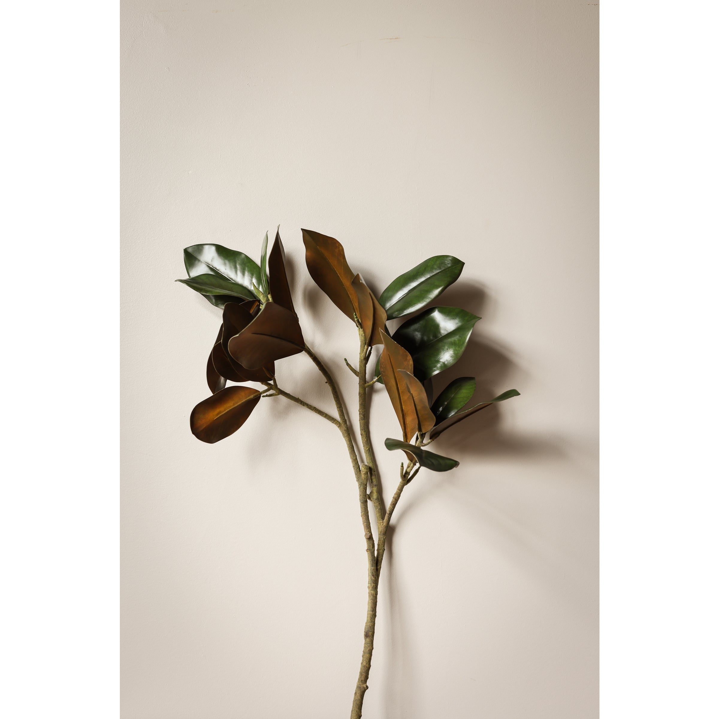 Grand Magnolia Leaf Stem 42.5