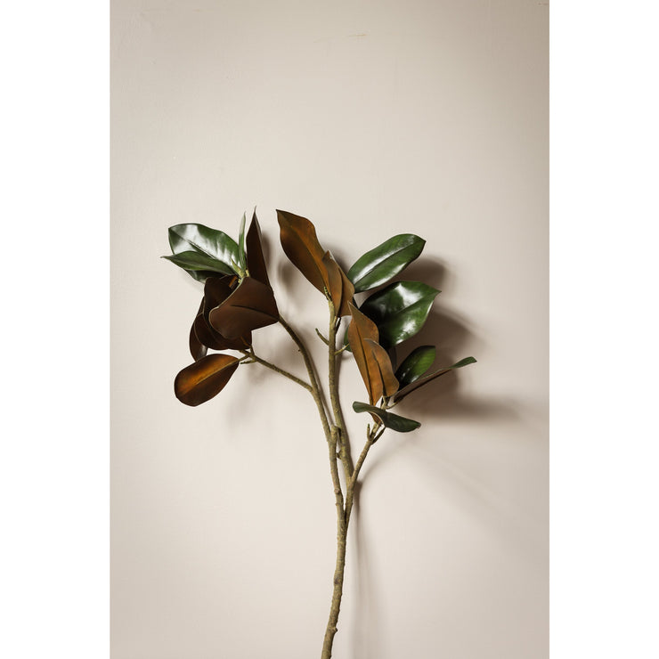 Grand Magnolia Leaf Stem 42.5"