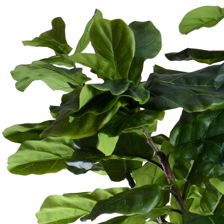 10' Fiddle Leaf Fig Tree