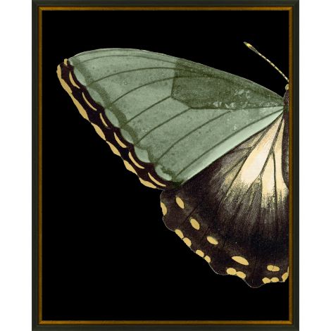 Gilded Wing 3
