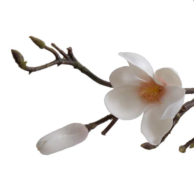 Magnolia Tree Branch - 60" L