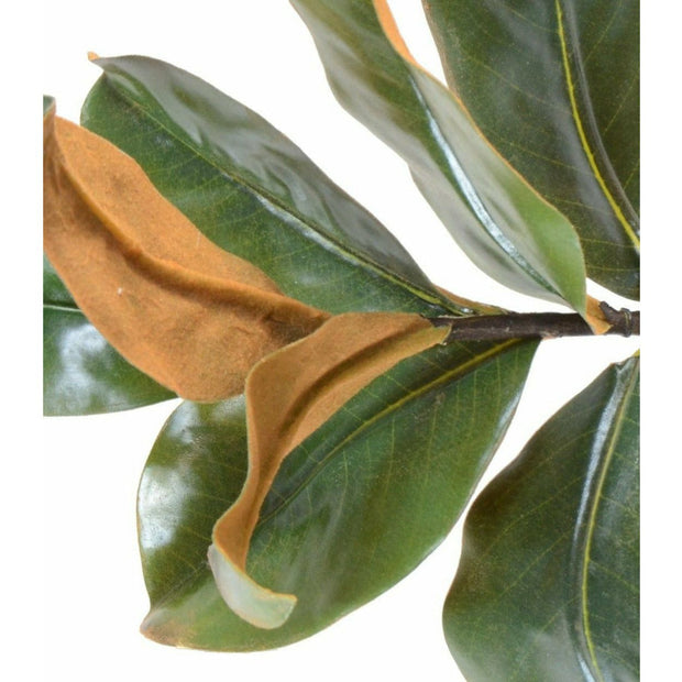 Magnolia Leaf Pick - 14" L